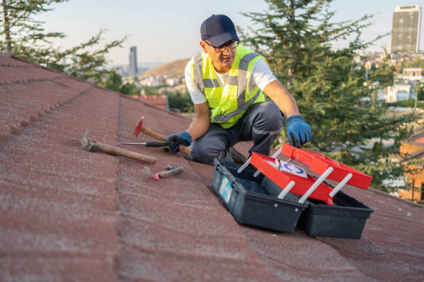 Best Stone Veneer Siding  in Pasatiempo, CA